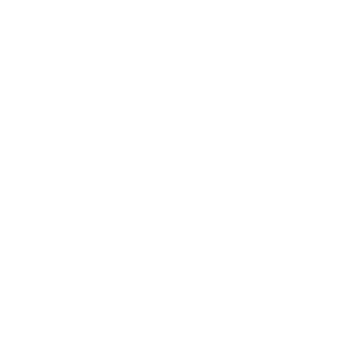 Rigourz Enterprises